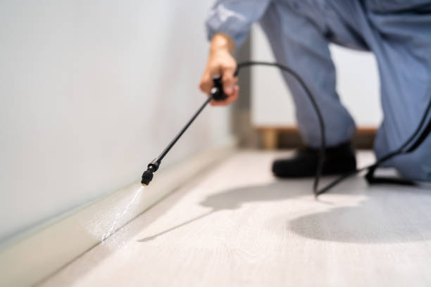 Bed Bug Pre-Treatment Preparation Assessment in Tabor City