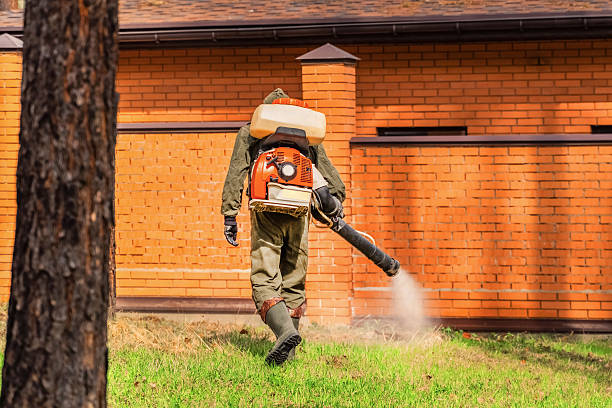 Bed Bug Clearance Verification and Documentation in Tabor City